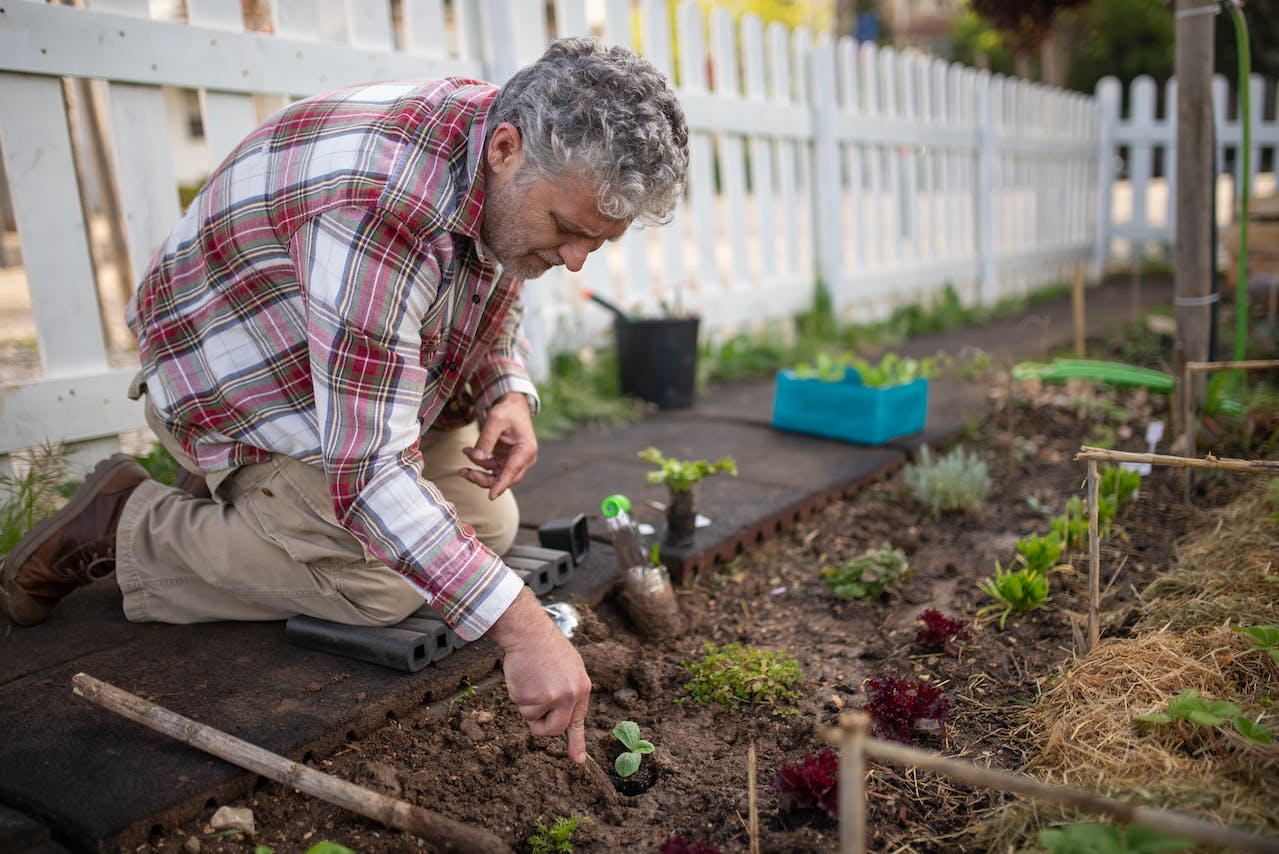 gardening 